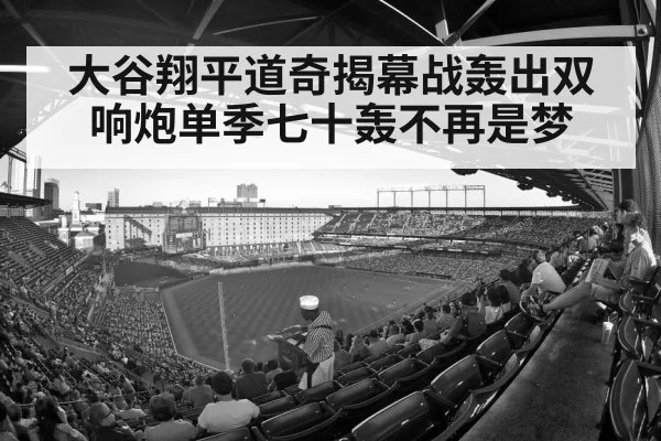 baseball stadium crowd